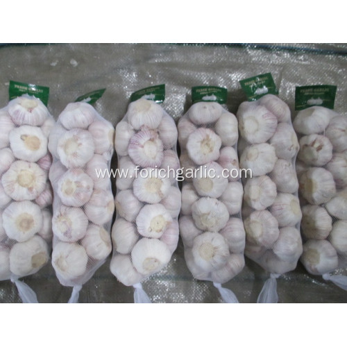 2020 High Quality Garlic Price